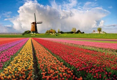 Een foto op canvas, hét alternatief voor een schilderij in huis